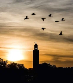 Hot 36 Hours World, The New York Times Beaux Livres