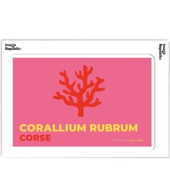 New Affiche Anjuna Boutan Corse 38 X 56 Cm Affiches & Tableaux