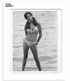 Best Affiche La Galerie Raquel Welch 4 38 X 56 Cm Affiches & Tableaux