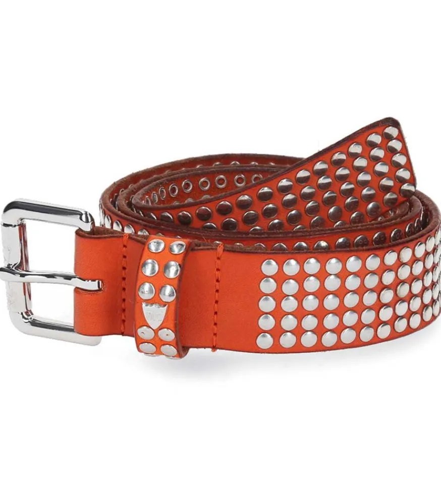 Discount Ceinture Coloree A Clous Studs Femme Ceintures