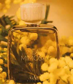 Discount Eau De Parfum Sea Mimosa 100 Ml Femme Eaux De Parfum