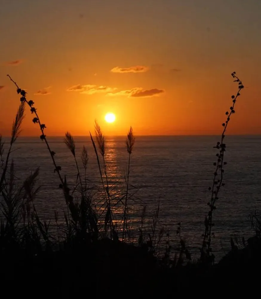 Hot Eau De Toilette #24 Play Again Now 50Ml Femme Eaux De Toilette