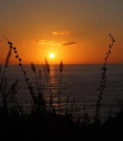 Online Eau De Toilette #24 Play Again Now 100Ml Femme Eaux De Toilette