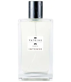 Clearance Eau De Toilette Intense 100 Ml Homme Eaux De Toilette
