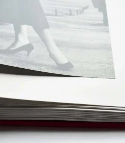 Hot Livre Santiago Calatrava (Ultimate Edition) Beaux Livres