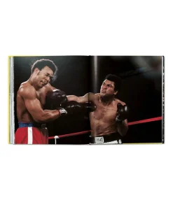 Outlet Livre The Fight Beaux Livres