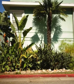 Best Parfum D'Ambiance #8 Red Garden 50Ml Sprays D'intérieur