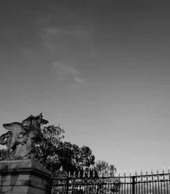 Sale Parfum D'Ambiance #213 Rue Saint Honore 50Ml Sprays D'intérieur