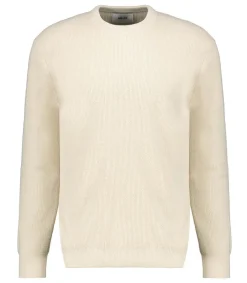 Hot Pull Homme Danny 6429 Ecru Homme Maille