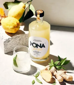 Hot Spiritueux Sans Alcool Nona Ginger 70Cl Thés & Infusions