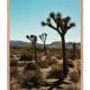 Outlet Tableau Avec Cadre "Joshua Tree" 60X80Cm Affiches & Tableaux