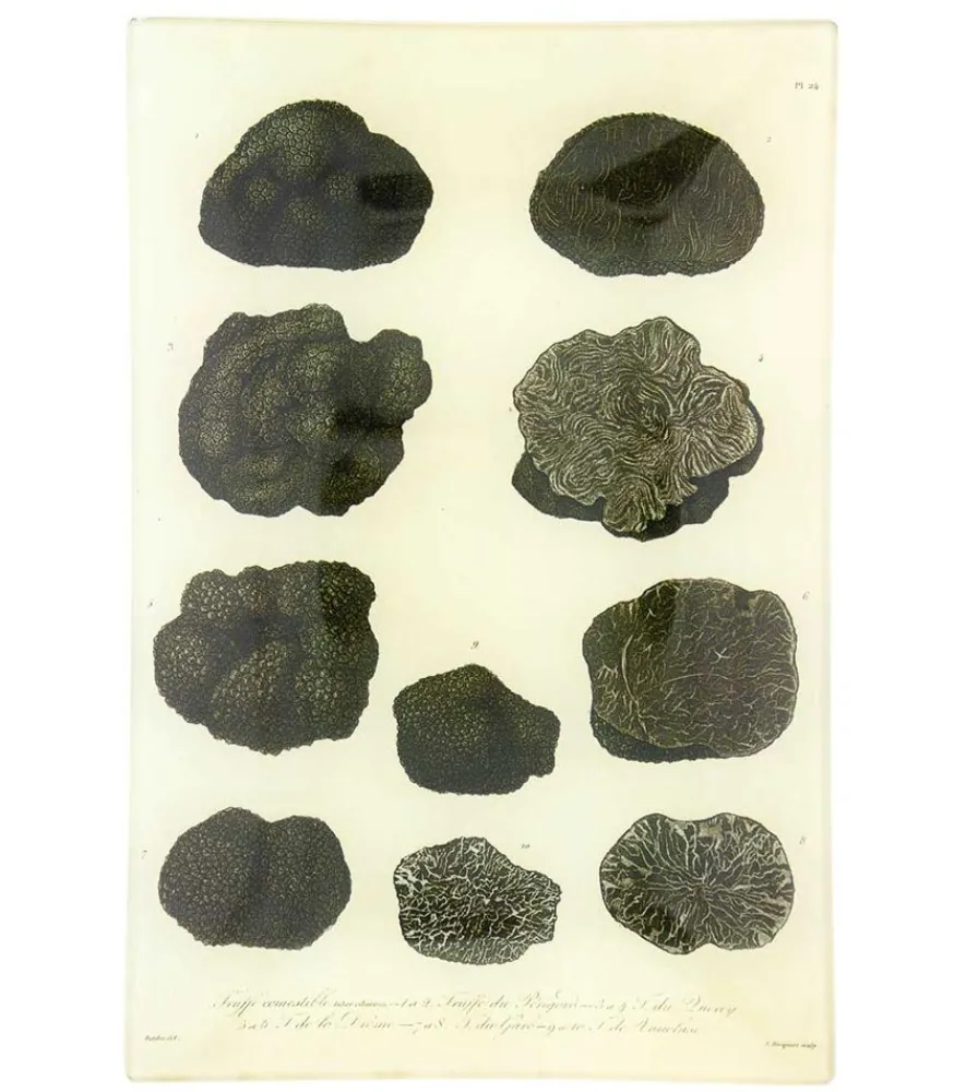 Clearance Vide-Poches Vintage "Mushrooms" Rangements